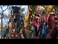 CELTIC ELDER PREDATOR HUNTS DURING THE DAY ON PREDATOR: HUNTING GROUNDS #820