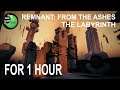 Remnant: From the Ashes - The Labyrinth FOR 1 HOUR