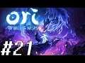 BACK AND FORTH || Ori and the Will of the Wisps (Let's Play/Playthrough/Gameplay) - Ep.21