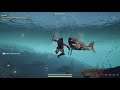 Fighting a shark - Assassin’s Creed® Odyssey gameplay - 4K Xbox Series X
