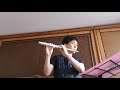Flute Performance Davichi-Unspoken Words / 다비치-너에게 못했던 내 마지막 말은