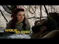 Into The Wild | Season 4 Short Episode 9 | Wolfblood