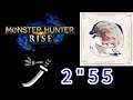 Monster Hunter Rise 魔物獵人崛起 爆鱗龍(暴力太刀)2分55秒