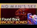 Nice! I Found More Ancient Bones | 4K | No Man's Sky #22