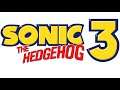 S3 Invincible - Sonic the Hedgehog 3 & Knuckles
