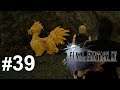 Final Fantasy XV #39 Zutritt für Chocobos verboten (Live LP/Streamaufzeichnung)