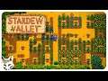 Forest Tending and House Upgrade! | Stardew Valley Patch 1.4 | Summer Year 1 Days 22-23 | Ep 24