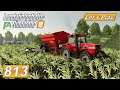 #LS19 #813 Der Mais ist endlich gewachsen #Landwirtschaft Simulator 19 mod map NF Marsch 4fach