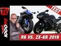 Supersport-Vergleich: Yamaha R6 vs. Kawasaki ZX-6R 2019
