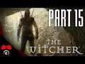 The Witcher | #15 | Agraelus | CZ Let's Play / Gameplay [1080p60] [PC]
