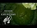8th Colossus | Shadow of the Colossus | Blind Gameplay 08