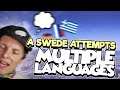 A Swede Attempts Multiple Languages