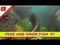 Feed and Grow Fish | Der Aal hat keine Feinde.. | Feed and Grow | Deutsch Gameplay