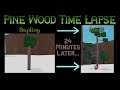 Pine Wood Time Lapse - Lumber Tycoon 2