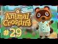 The Great Island of Corcanipus - Animal Crossing New Horizons - Daily Tasks For The Island