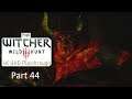 The Witcher 3 Wild Hunt in 4K UHD Playthrough Raw Footage Part 44