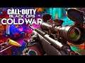 call of duty cold war pro sniper online