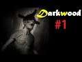 Cùng chơi Darkwood #1 Sinh tồn nơi Rừng thiêng nước độc