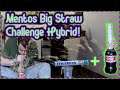 Mentos Big Straw Challenge HYBRID - Baked Vlog