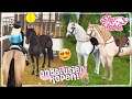 Nieuw DRESSUURPAARD KOPEN, de ANDALUSIER!! - Update | Star Stable Online | Daphne draaft door