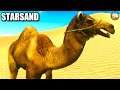 Taming A Camel | Starsand | Part 4