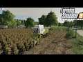 'ZONNEBLOEM OOGST!' Farming Simulator 19 Old Streams Farm #14