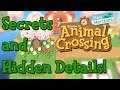 Animal Crossing: New Horizons - Secrets and Hidden Details! (Analysis)