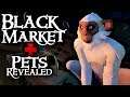 BLACK MARKET & PETS REVEALED // SEA OF THIEVES - Pets and black market coming Sep. 12th