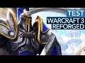Blizzards schlechtester Release - Warcraft 3: Reforged im Test | Review