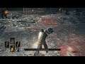 DARK SOULS III - Twin Princes (Lorian & Lothric) (Full Bossfight)