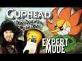 Experts Only!! (Cuphead Live Stream)