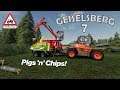 GEISELSBERG, #7, Pigs 'n' Chips! Farming Simulator 19, PS4, Let's Play/Role Play.
