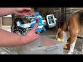 Lego Vernie The Robot vs Funny Dogs | Pretend Play