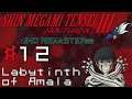 Let's Play Shin Megami Tensei 3: HD - 12 - Labyrinth of Amala