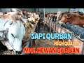 ❣ MALL HEWAN QURBAN H DONI # Tempat Penjualan Hewan Qurban Terbesar Di Perbatasan JAKARTA DEPOK