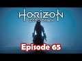 POST GAME COLLECTIBLES 3 | Horizon Zero Dawn ~ E65