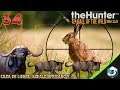 The Hunter Call of Wild - Cap. 34 - Cazando Liebres, bufalo africano y ñus | Gameplay Español