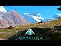 A Trip To The Red Mountains! | ANIMALLICA (Beta) Gameplay