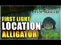 First Light Alligator Location New World