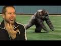 GORILLA ON THE FIELD? Unexpected Animal Interferences in Sports