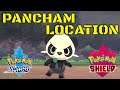 Pokemon Sword And Shield Pancham Location