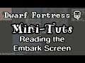 Reading the Embark Screen | Mini-Tuts | Dwarf Fortress