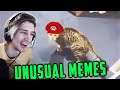 xQc Reacts to UNUSUAL MEMES COMPILATION V89 and Daily Dose of Internet! | Episode 53 | xQcOW