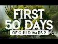 New Player Thoughts // First 50 Days of Guild Wars 2