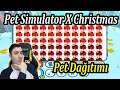 🔴Pet Simulator X Christmas RB Legendary Pet Dağıtımı (Canlı Yayını) 🤩🥳 | ROBLOX