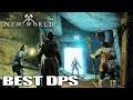 Group Dungeons With SECOND BEST DPS IN THE GAME | New World Gameplay | Part 7