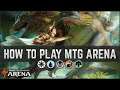 How to Play MTG Arena | An Intro to Magic: The Gathering
