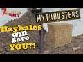 7 Days to Die Alpha 17 | 🧟 Mythbusters - Do haybales save you at high falls? @Vedui42 ✔️