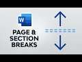 How to Insert, View, or Delete Breaks in Microsoft Word