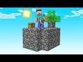 Minecraft Sky Block BUT Everything Is BEDROCK!
